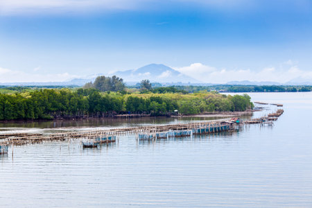 landscape of fish farms along the river with mangrove forest, blue sky and mountain