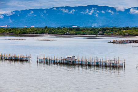landscape of fish farms along the river with mangrove forest, blue sky and mountainの写真素材