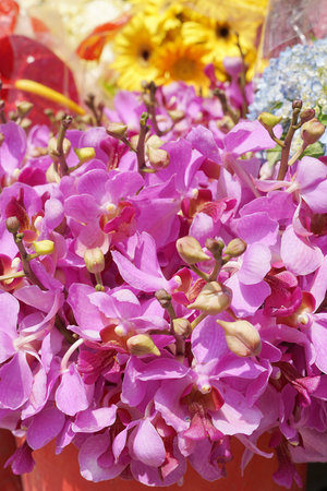 Purple orchids for sale at a market in Thailand.
