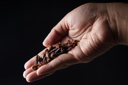 Hand holding a handful of cloves on a black background, closeupの写真素材