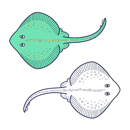 Stingray icon.のイラスト素材