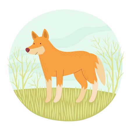Australian dingo. Endemic. Vector illustration in circle.のイラスト素材