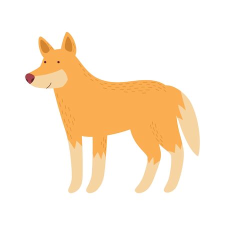 Dingo. Cartoon character. Australian dog. Wild animal. Isolated on white.のイラスト素材