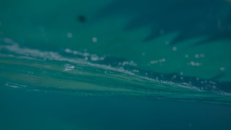 Panoramic scene View under water