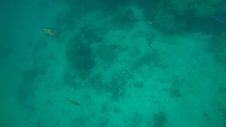 Panoramic scene View under waterの写真素材