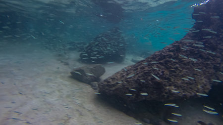 Panoramic scene View under water