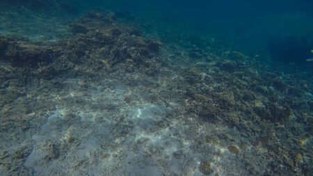 Panoramic scene View under waterの写真素材