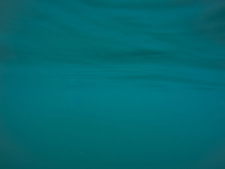 Panoramic scene View under water