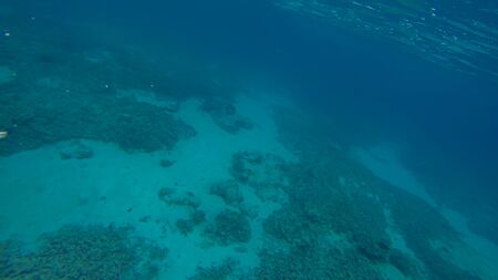 Panoramic scene under water and blue backgroundの写真素材