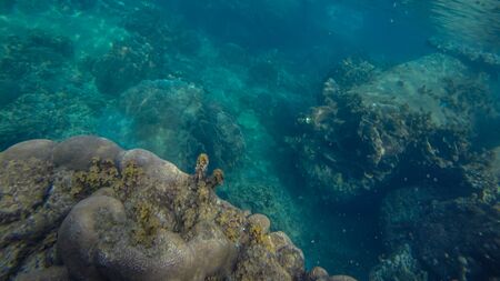 Panoramic scene under water and blue backgroundの写真素材