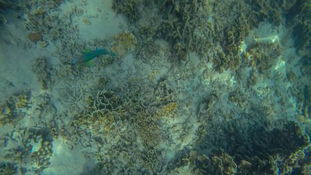 Panoramic scene View under waterの写真素材
