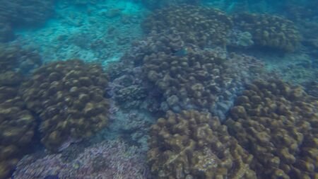 Panoramic scene View under waterの写真素材