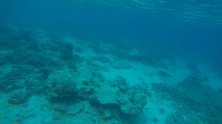 Panoramic scene View under waterの写真素材