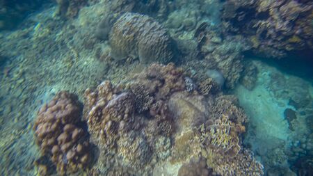 Panoramic scene View under waterの写真素材