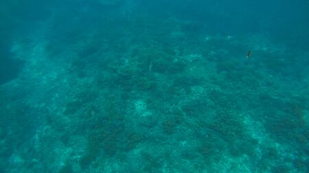 Panoramic scene under water and blue backgroundの写真素材