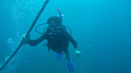 Panoramic scene under water, coral and blue backgroundの写真素材
