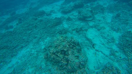 Panoramic scene under water and blue backgroundの写真素材