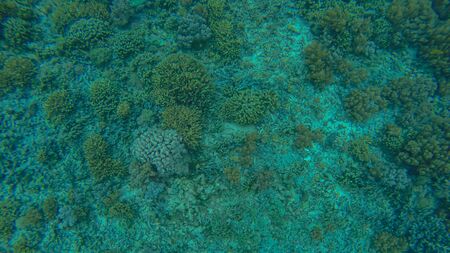 Panoramic scene under water and blue backgroundの写真素材