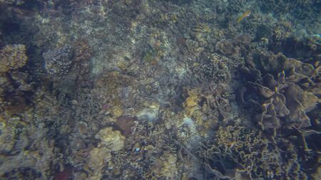 Panoramic scene View under waterの写真素材