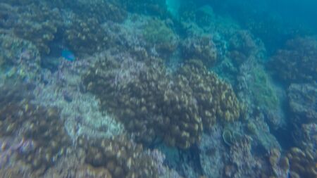 Panoramic scene under water and blue backgroundの写真素材