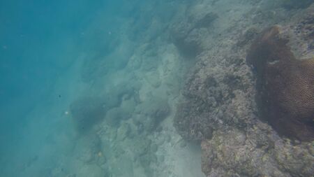 Panoramic scene under water and blue backgroundの写真素材