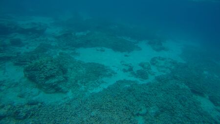 Panoramic scene under water and blue backgroundの写真素材