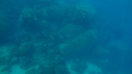 Panoramic scene under water and blue backgroundの写真素材