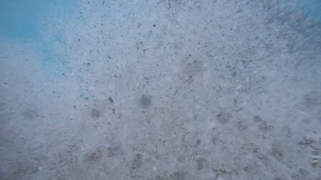 Panoramic scene under water and blue backgroundの写真素材