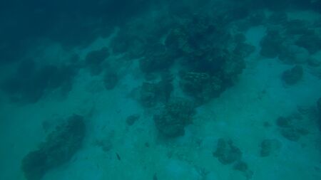 Panoramic scene under water and blue backgroundの写真素材