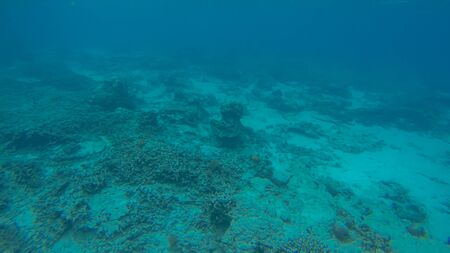 Panoramic scene under water and blue backgroundの写真素材