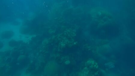 Panoramic scene under water and blue backgroundの写真素材