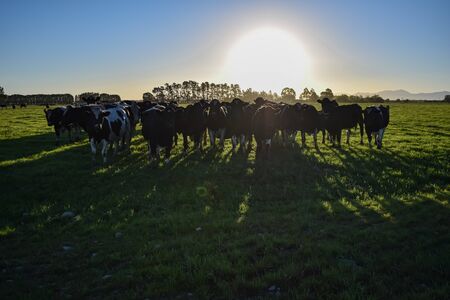 life style farming life scene の写真素材