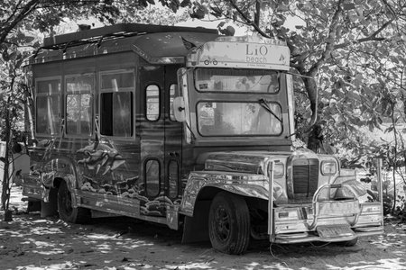 PANORAMIC LANDSCAPE, BEACH VIEW FROM PHILIPPINES, PALAWAN, 2019のeditorial素材