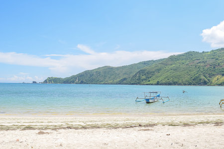 OCEAN BEACH AND SUMMER SEASION