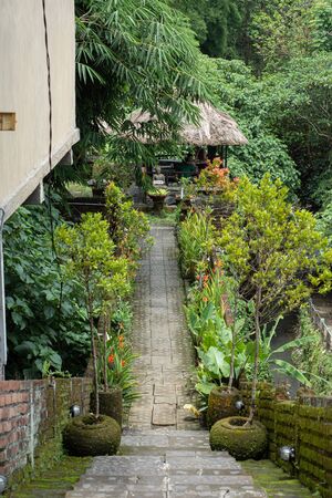 decorated stairs from a temple in ubudの写真素材