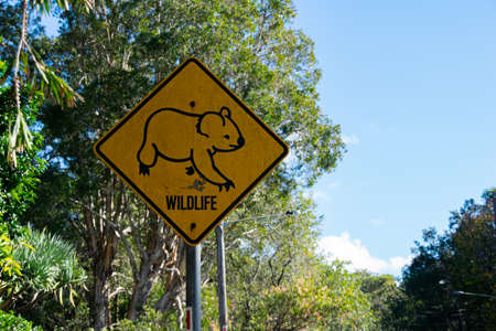 Sign from Australian road trees and blue sky backgroundの写真素材