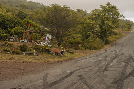 Nature scene from Road to hana on Maui, Hawai, 2022