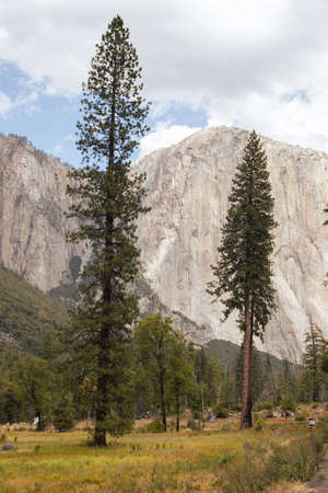 Autumn landscape from Yosemite National Park, California, United States. High quality photoの写真素材