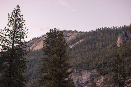 Autumn landscape from Yosemite National Park, California, United States. High quality photoの写真素材