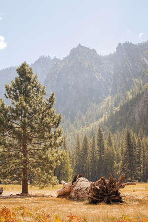 Autumn landscape from Yosemite National Park, California, United States. High quality photoの写真素材
