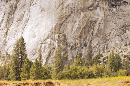 Autumnal natural landscape from Yosemite National Park, California, United States