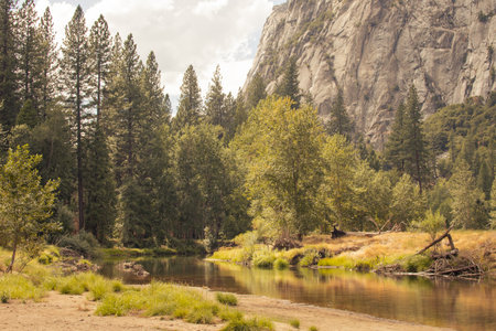 Autumnal natural landscape from Yosemite National Park, California, United Statesの写真素材