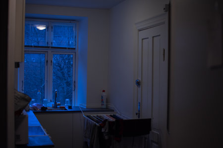 WINDOW FROM INTERIOR OF THE HOUSE, COPENHAGUE, DENMARK, MARCH 2019のeditorial素材