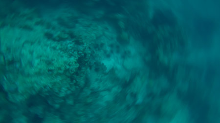 Panoramic scene under water, coral and blue backgroundの写真素材