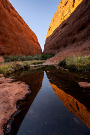This image captures the serene beauty of a gorge in Kata Tjuta, Australia, with towering red rock...
