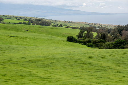 A serene view of rolling green hills leading down to a calm body of water, with a backdrop of distant mountains under a cloudy sky. The vibrant greenery and gentle undulations of the terrain create a peaceful and picturesque scene.の写真素材
