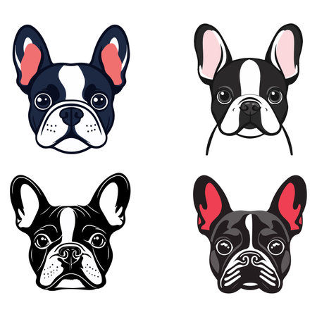 Illustration of four different French Bulldog heads with varying color schemes and styles.のイラスト素材