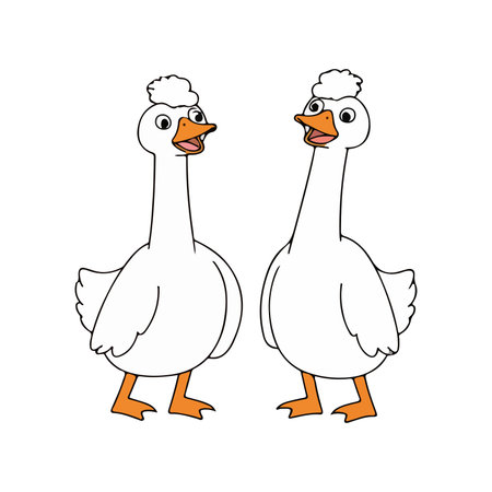 Illustration of two white cartoon geese with orange beaks and feet, standing side by side on a white background.のイラスト素材