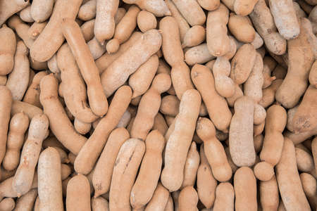 Tamarind fruitsの写真素材