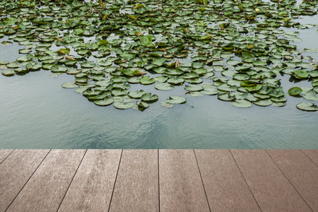 Summer background with wooden planks,and water viewの写真素材